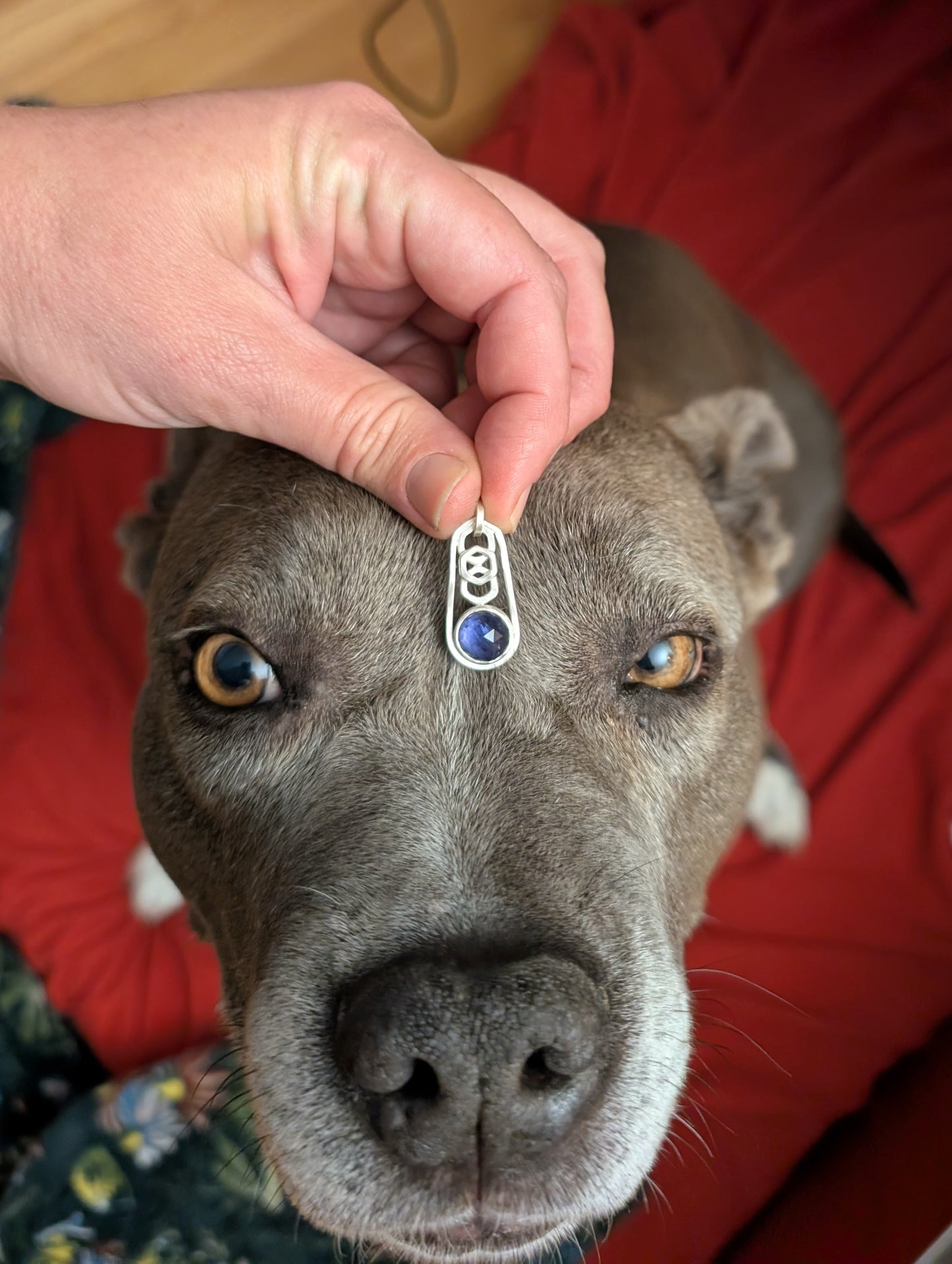 Lunari Pendant with Iolite